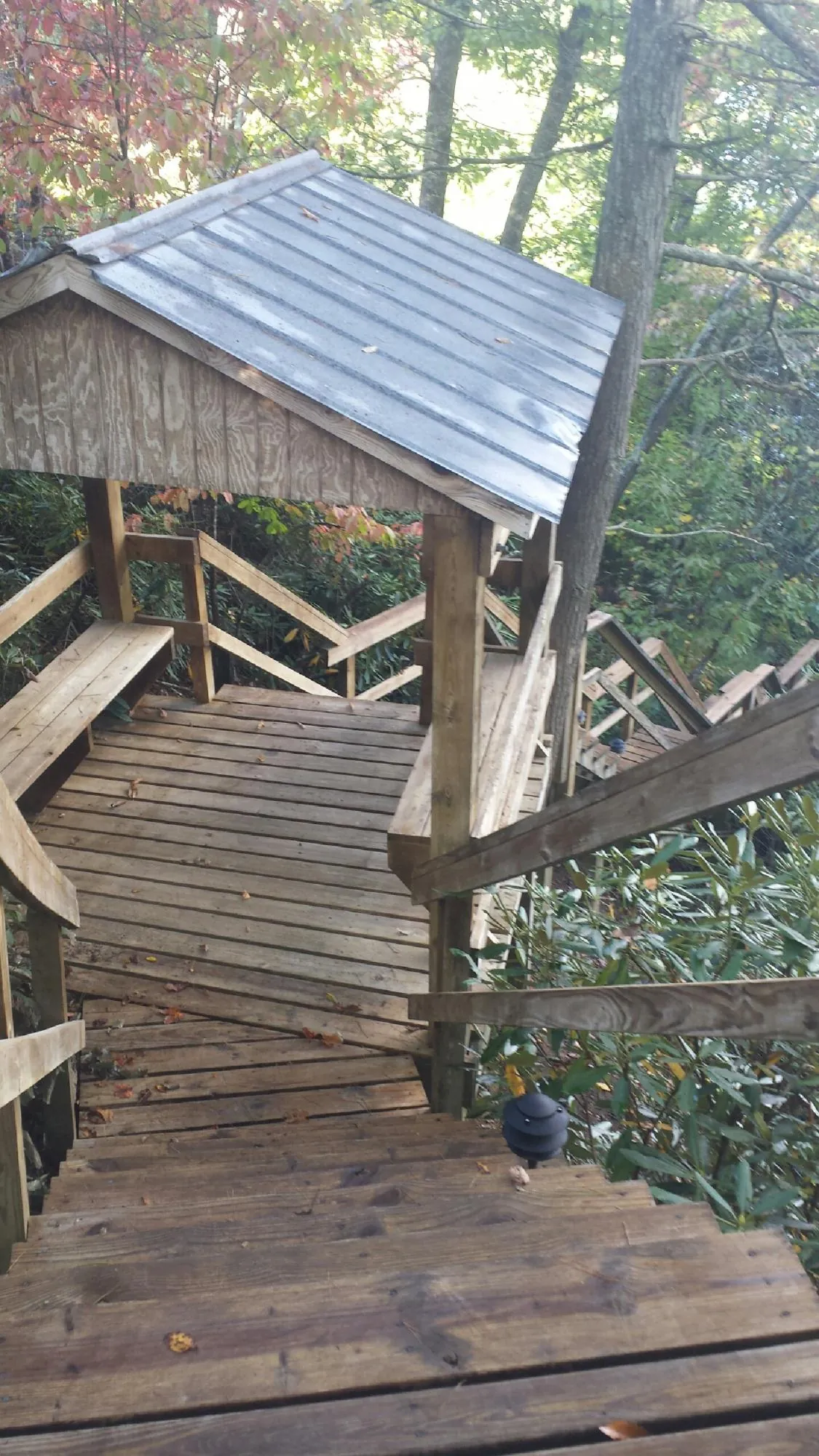 Metal roofed shelter over wooden steps on a wooded walkway — Skylight Repair & Installation work by our crew in Granite Canon